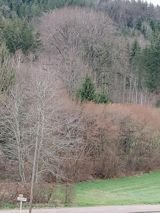 Air Paix Le Mont Villa Herpelmont Exterior photo